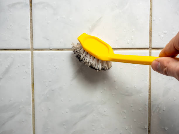 Best Black Mold Removal  in Sparta, MO