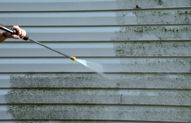 Mold Removal Process in Sparta, MO