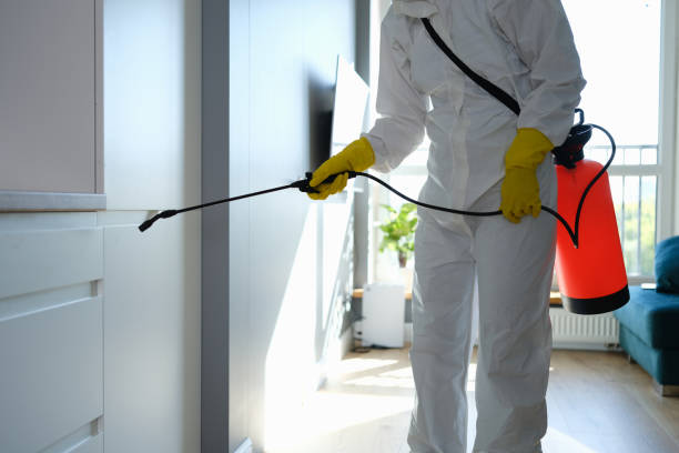 Best Office Mold Removal Services  in Sparta, MO