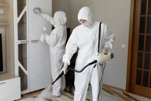 Attic Mold Removal in Sparta, MO