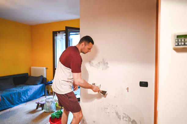 Best Certified Mold Removal  in Sparta, MO