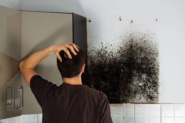 Best Attic Mold Removal  in Sparta, MO